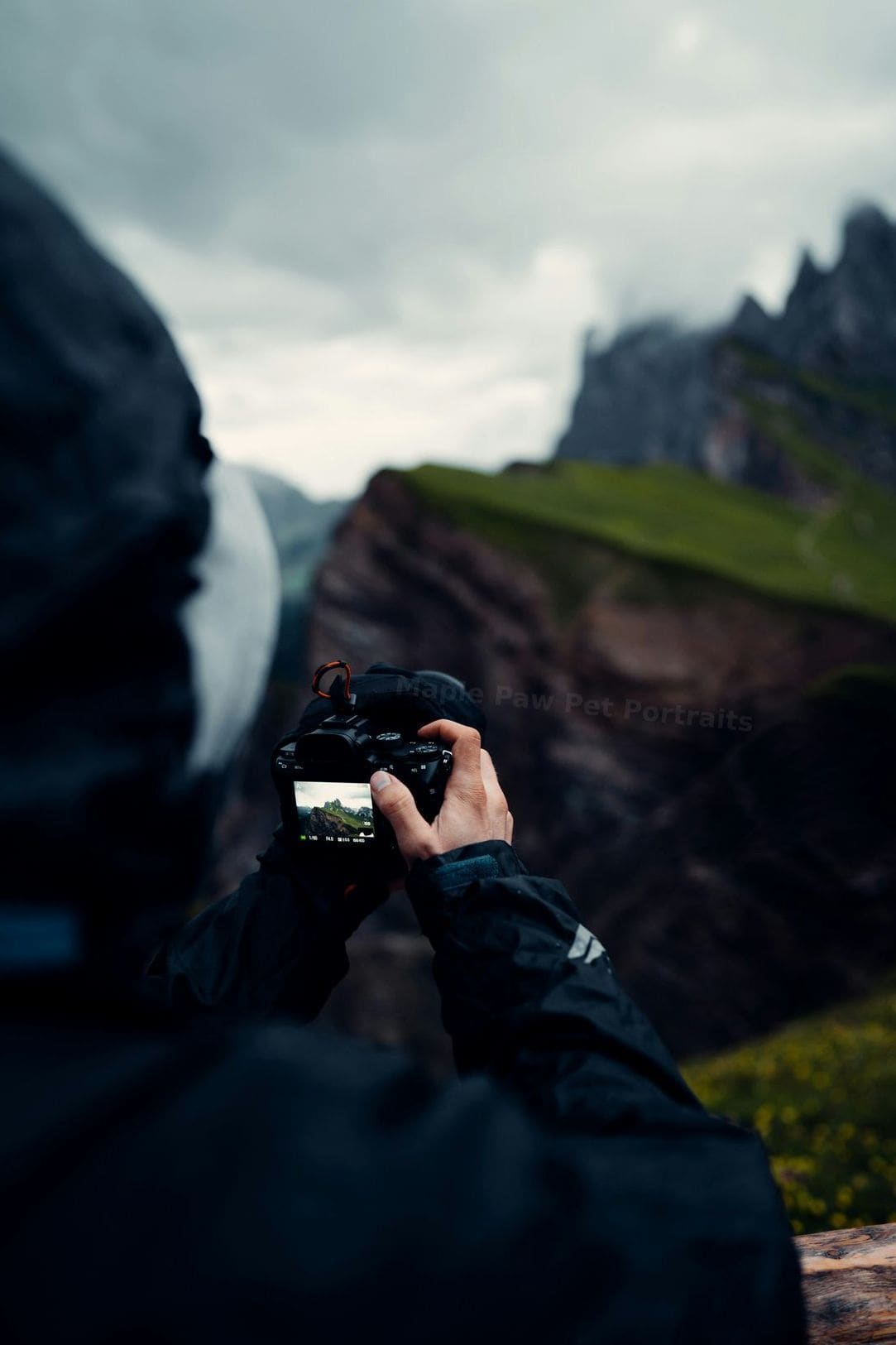 Photograph the session