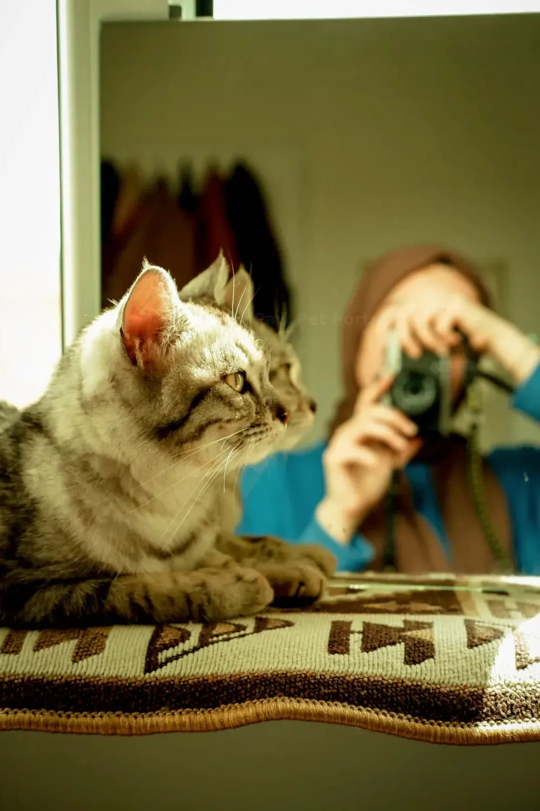 Outdoor lifestyle pet sessions